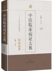中医临床病证大典 肾系病卷
