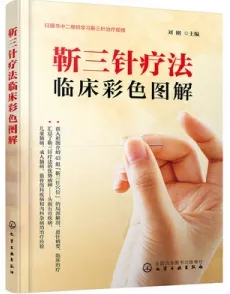靳三针疗法 临床彩色图解