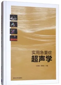 实用急重症超声学