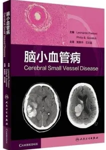 脑小血管病（2018）