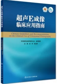 超声E成像临床应用指南