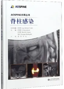 脊柱感染 AOSPINE大师丛书