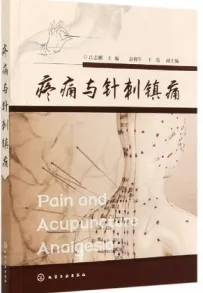 疼痛与针刺镇痛
