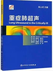 重症肺超声