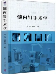 髓内钉手术学