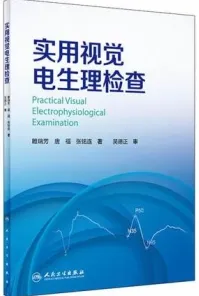 实用视觉电生理检查