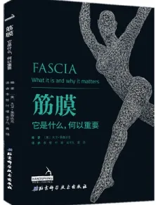 筋膜 它是什么，何以重要