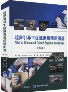 超声引导下区域疼痛阻滞图谱 第3版