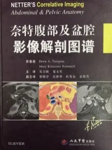 奈特腹部及盆腔影像解剖图谱