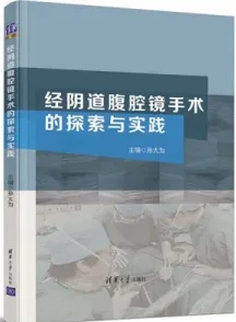 经阴道腹腔镜手术的探索与实践