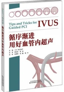 循序渐进用好血管内超声