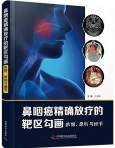 鼻咽癌精确放疗的靶区勾画依据原则与细节