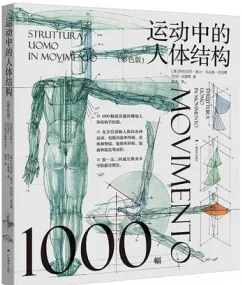 运动中的人体结构（彩色版）