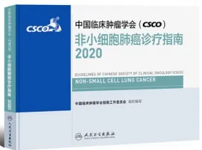 中国临床肿瘤学会（CSCO）非小细胞肺癌诊疗指南2020