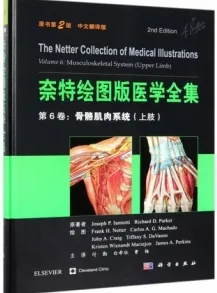 奈特绘图版医学全集 第6卷 骨骼肌肉系统（上肢） 原书第2版