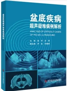 盆底疾病超声疑难病例解析