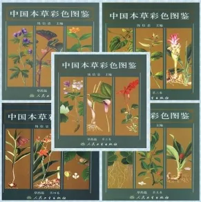 中国本草彩色图鉴 草药篇 共五卷