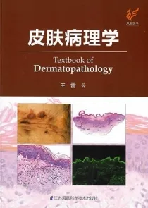 皮肤病理学