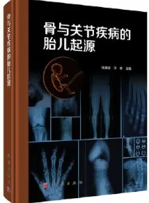 骨与关节疾病的胎儿起源