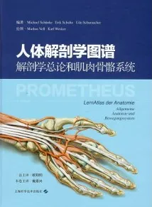 人体解剖学图谱 解剖学总论和肌肉骨骼系统