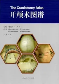 开颅术图谱