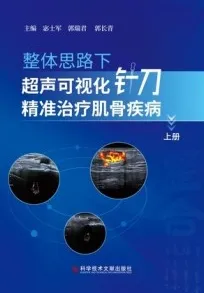 整体思路下超声可视化针刀精准治疗肌骨疾病 上册