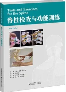 脊柱检查与功能训练