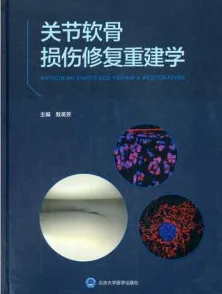 关节软骨损伤修复重建学