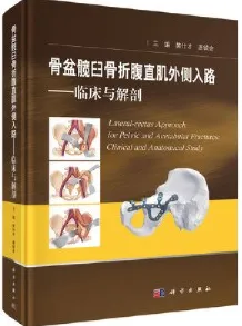 骨盆髋臼骨折腹直肌外侧入路 临床与解剖