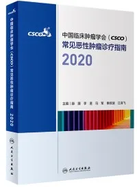 中国临床肿瘤学会（CSCO）常见恶性肿瘤诊疗指南2020合订本