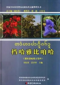 档哈雅比咱哈 傣医治病要方集四