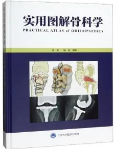 实用图解骨科学