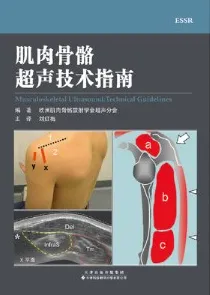 肌肉骨骼超声技术指南
