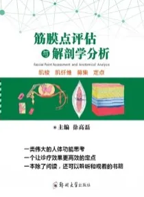 筋膜点评估与解剖学分析