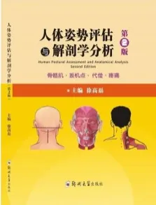 人体姿势评估与解剖学分析 第2版