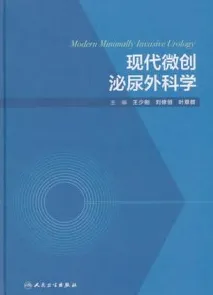 现代微创泌尿外科学
