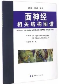 面神经相关结构图谱