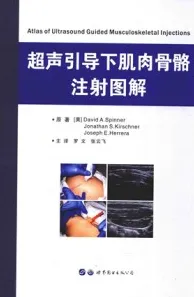 超声引导下肌肉骨骼注射图解