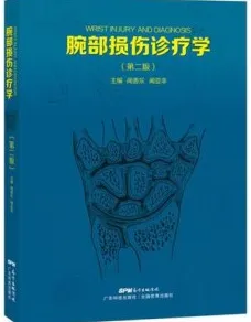 腕部损伤诊疗学 第2版