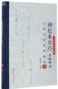 神农本草经药物解读 从形味性效到临床 2