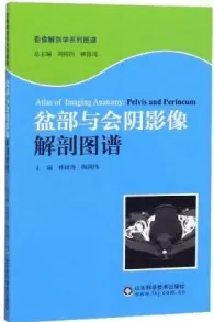盆部与会阴影像解剖图谱