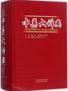 中医大辞典