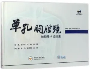 单孔胸腔镜肺切除术视频集
