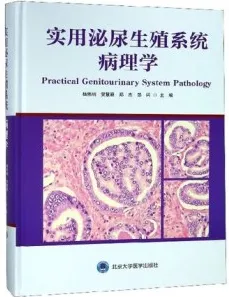 实用泌尿生殖系统病理学