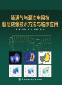 肺通气与灌注电阻抗断层成像技术方法与临床应用