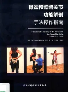 骨盆和骶髂关节功能解剖 手法操作指南