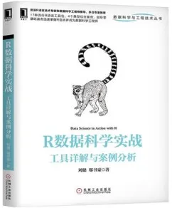 R数据科学实战 工具详解与案例分析