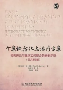 个案概念化与治疗方案 第3版
