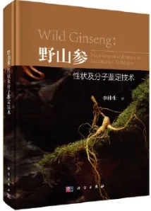 野山参性状及分子鉴定技术