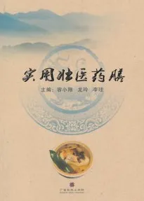 实用壮医药膳